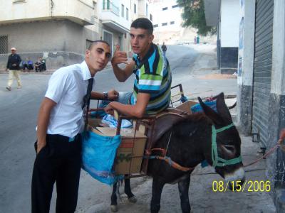 primo i ermano se ban de boda con limusina animal